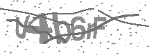 visual captcha